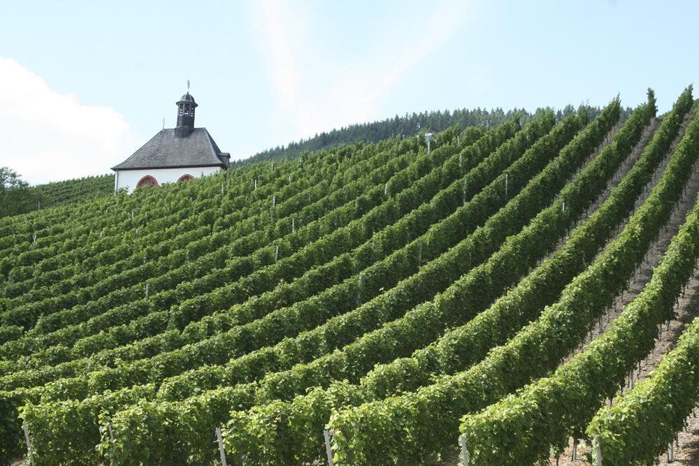 Hotel Vier Loewen Traben-Trarbach Bagian luar foto